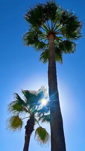 Loving Mediterranean Home Estepona Exterior foto